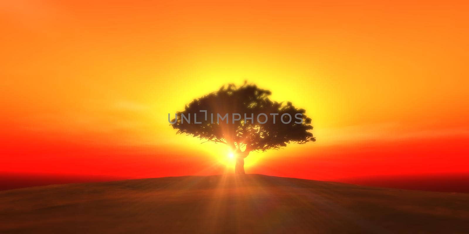 tree on the filed sunset sky, 3d render illustration