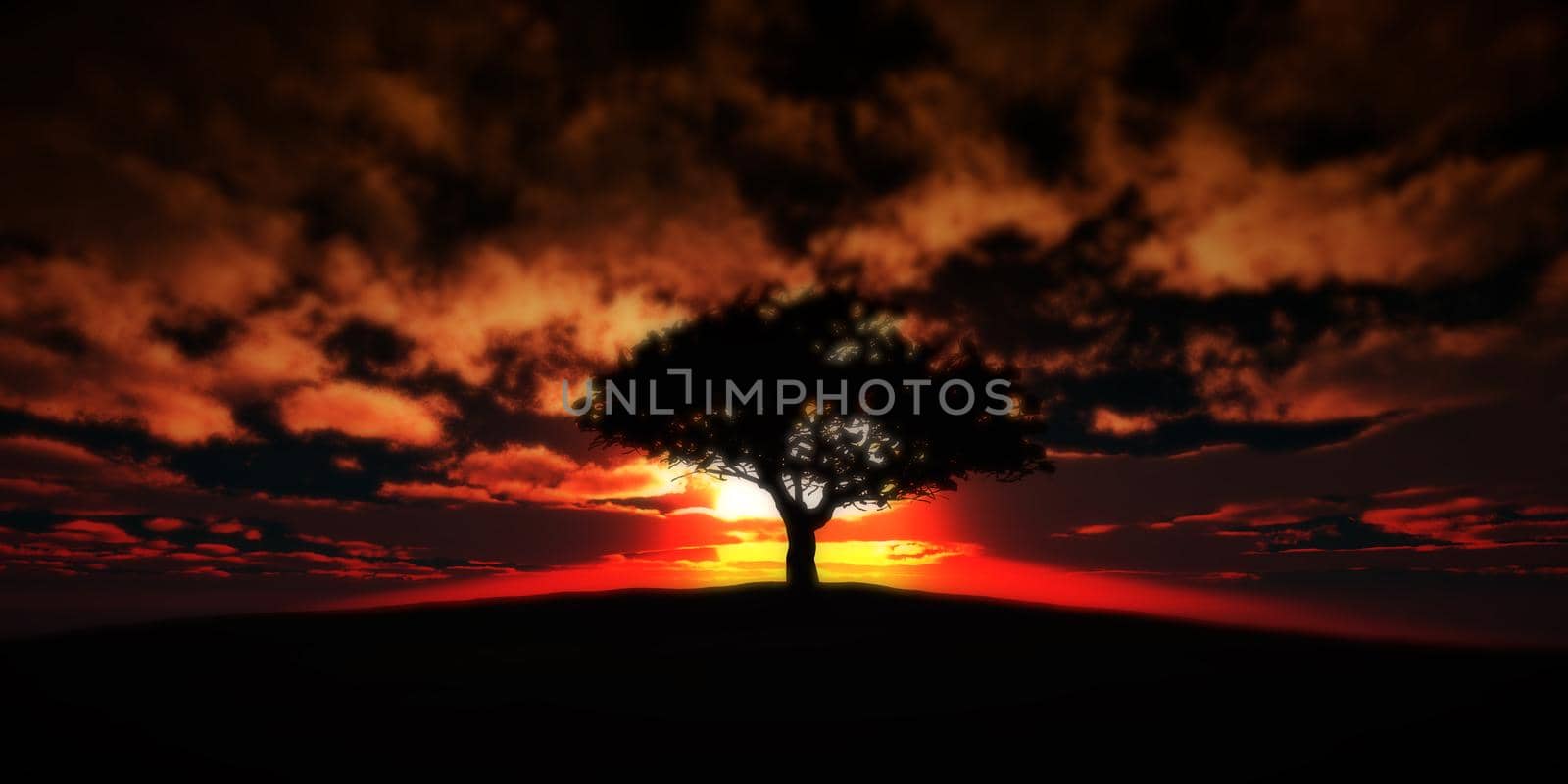 tree on the filed sunset sky, 3d render illustration