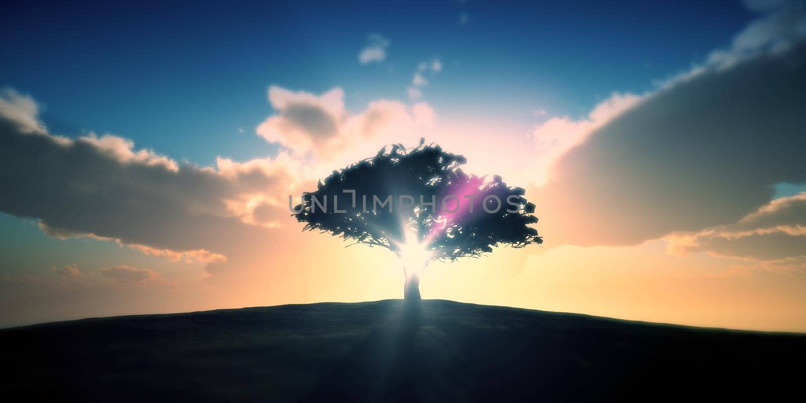 tree on the filed sunset sky, 3d render illustration