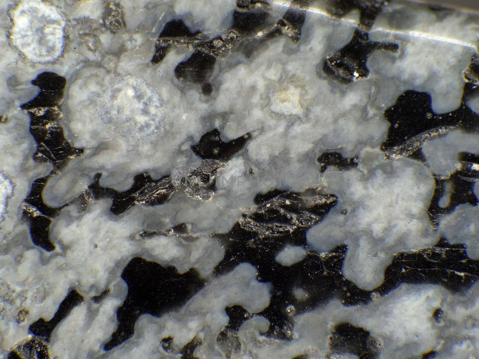 snowflake obsidian in a macro shot by Jochen