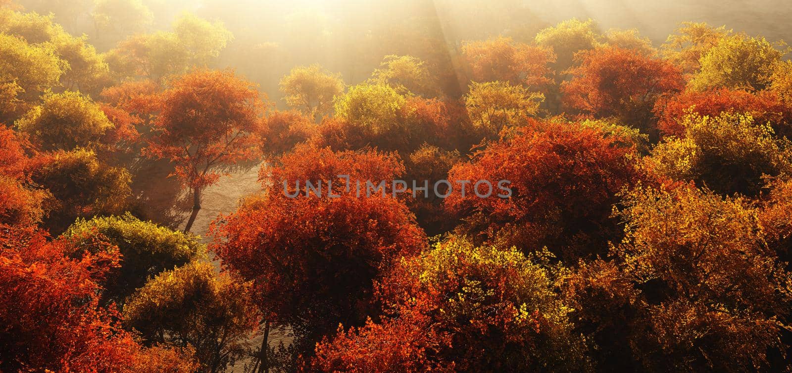 autumn fores thigh view sun ray, 3d render illustration