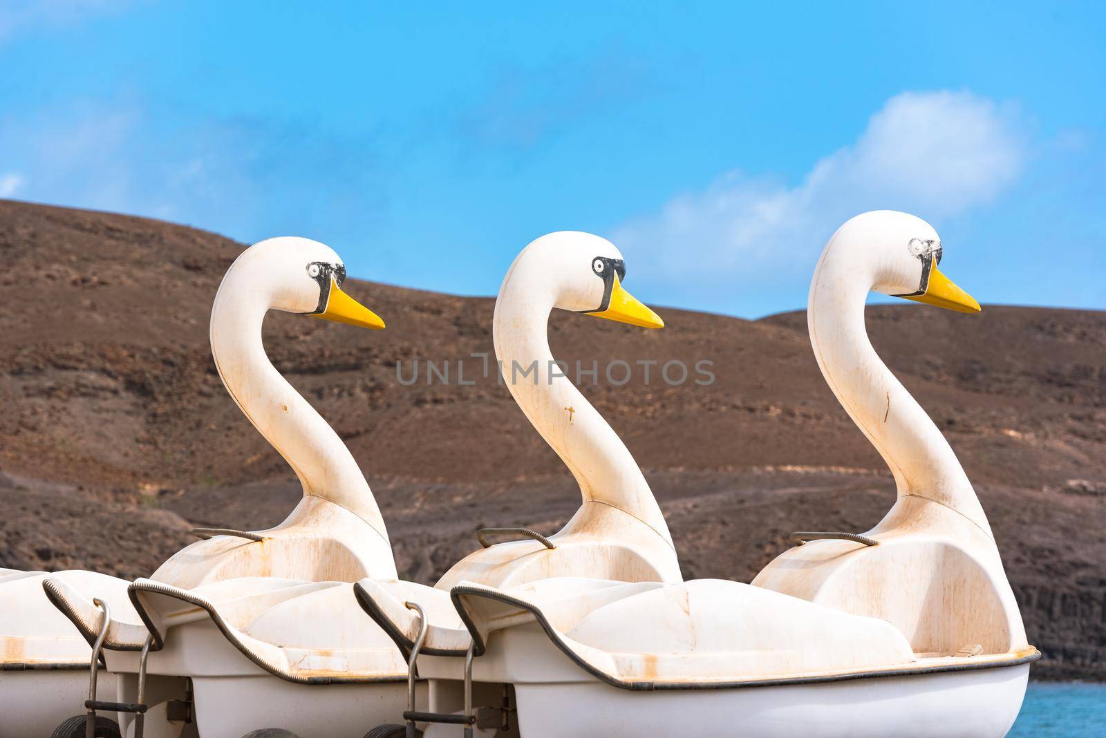 Duck-shaped boats on the beach of Pozo Negro on the island of Fuerteventura, Spain.