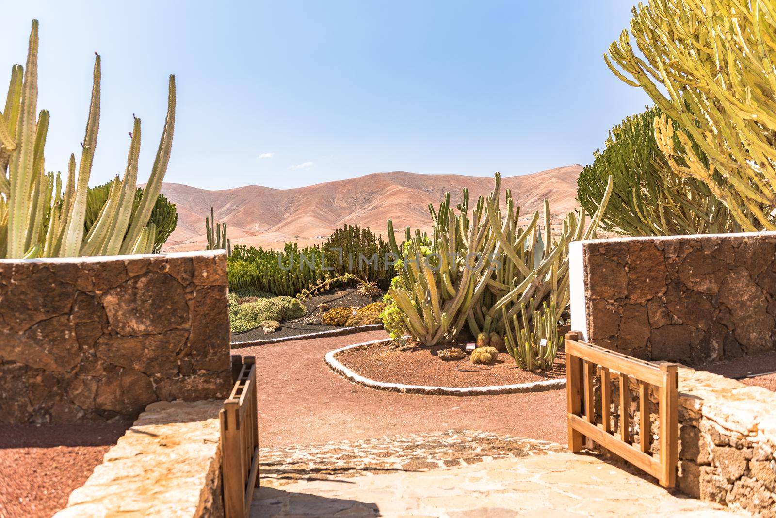 Antigua, Spain – October 4, 2020: Traditional building converted into a Majorero cheese museum, in Antigua in the inner part of Fuerteventura Island.