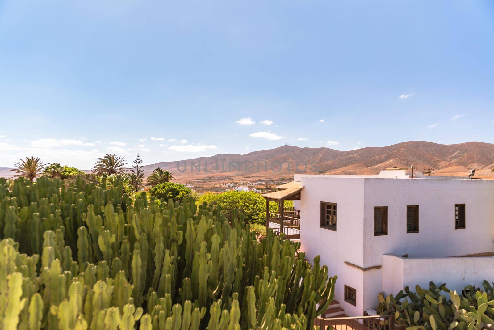 Antigua, Spain – October 4, 2020: Traditional building converted into a Majorero cheese museum, in Antigua in the inner part of Fuerteventura Island.