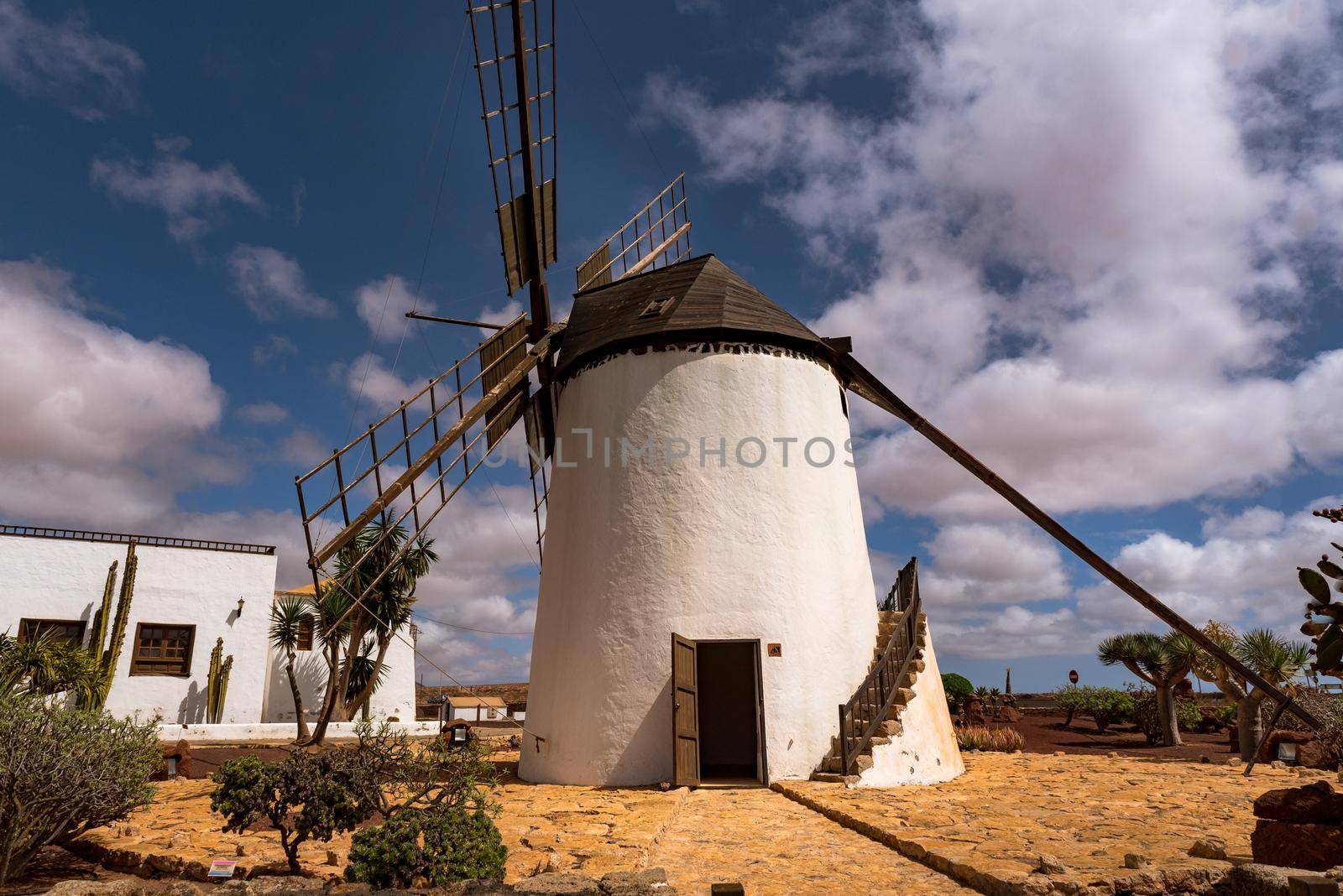 Windmills on the island of Fuerteventura in Spain.
