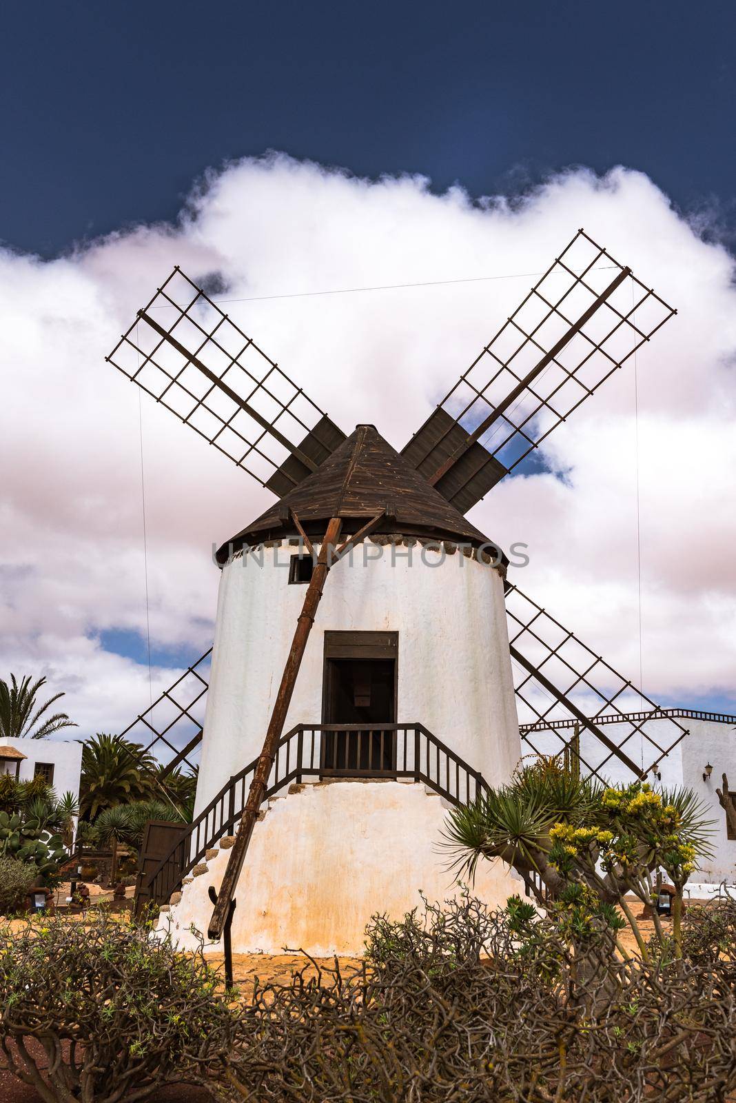 Windmills on the island of Fuerteventura in Spain by martinscphoto