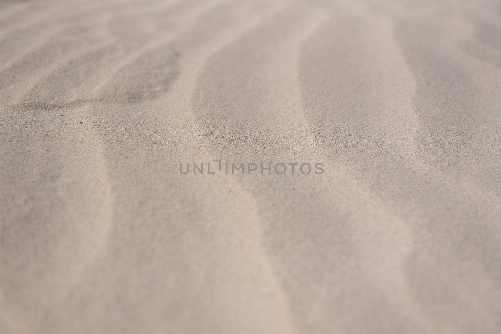 Dunes on the Fuerteventura Nature Trail GR 131 from Corralejo to Morro Jable in summer 2020.
