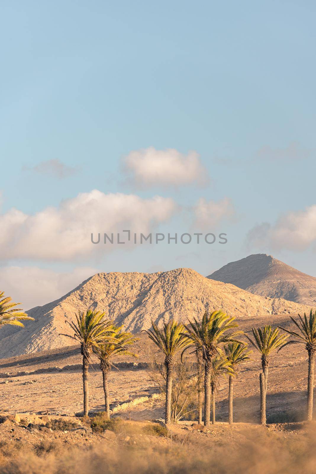 Los Molinos beach in Fuerteventura, Canary Islands in summer 2020.
