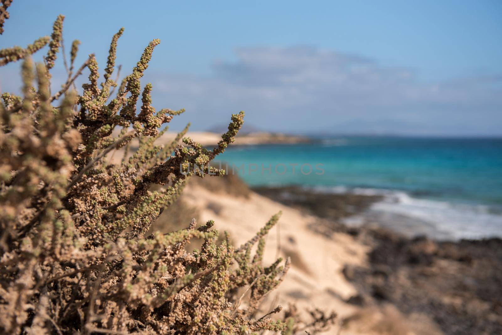 Dunas de Corralejo Natural Park in Fuerteventura, Spain in the fall of 2020.