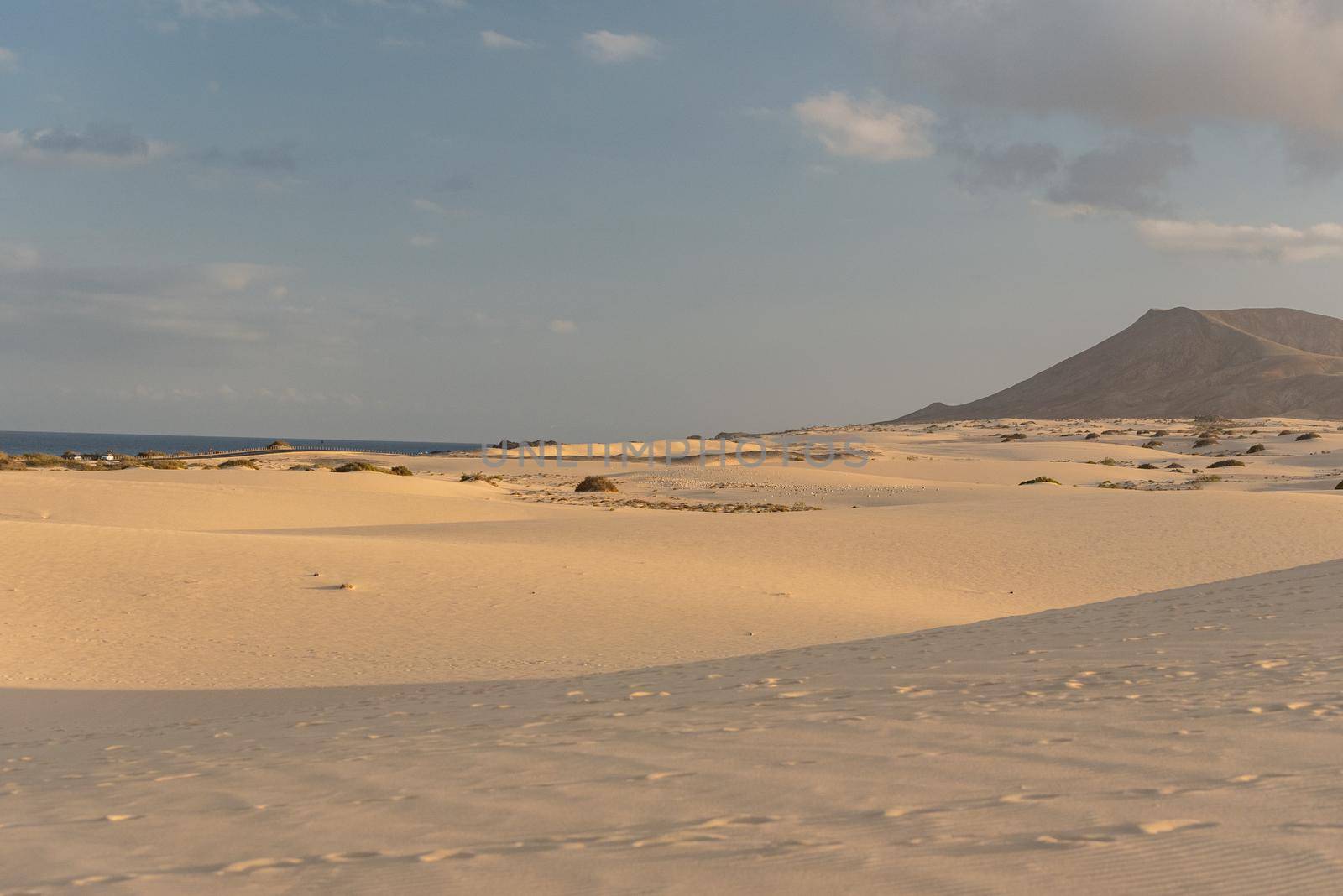 Dunas de Corralejo Natural Park in Fuerteventura, Spain in the fall of 2020.