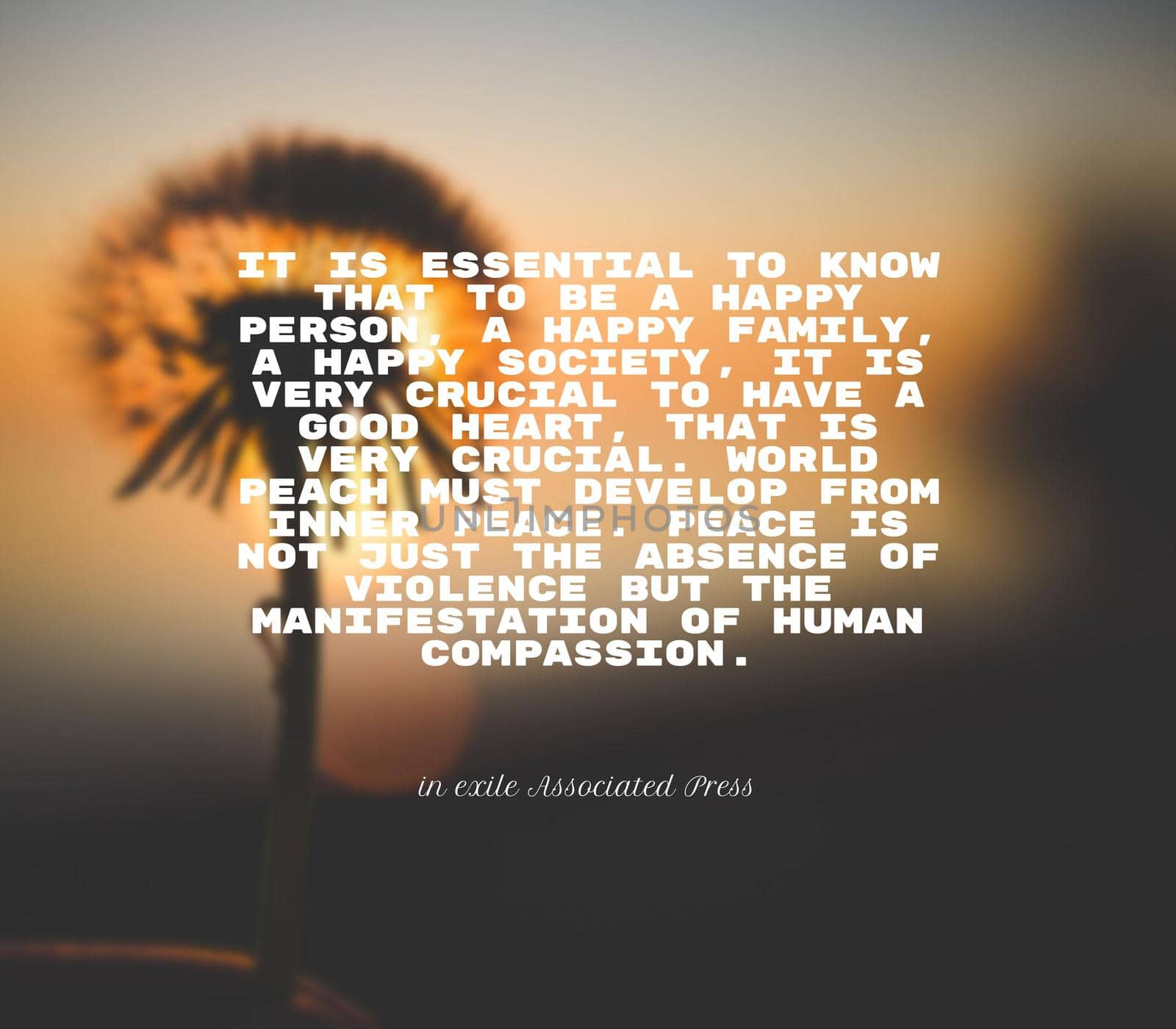 Quote,inspirational text. It is essential to know that to be a happy person, a happy family, a happy society, it is very crucial to have a good heart, that is very crucial. World peach must develop from inner peace. Peace is not just the absence of violence but the manifestation of human compassion..