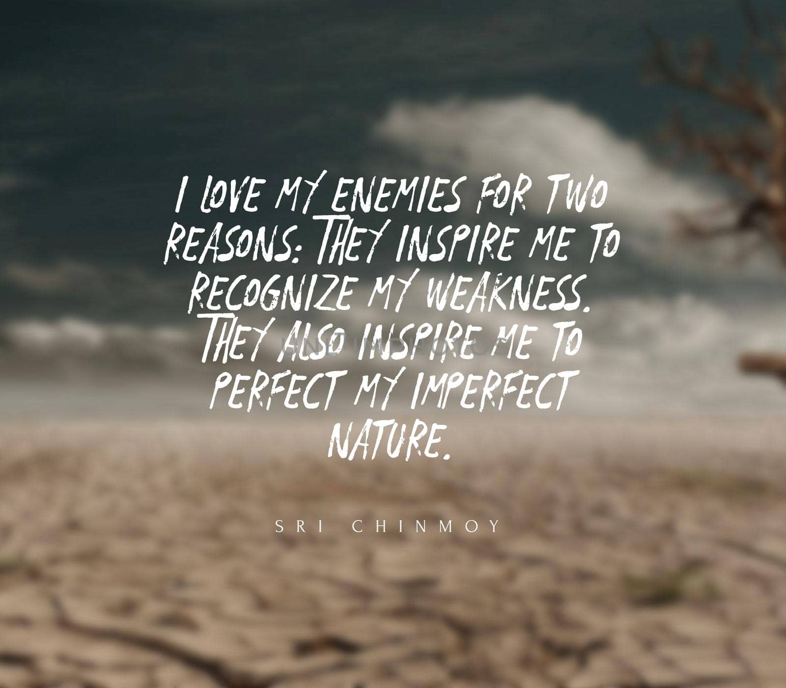Quote,inspirational text. I am not this hair, I am not this skin, I am the soul that lives within..