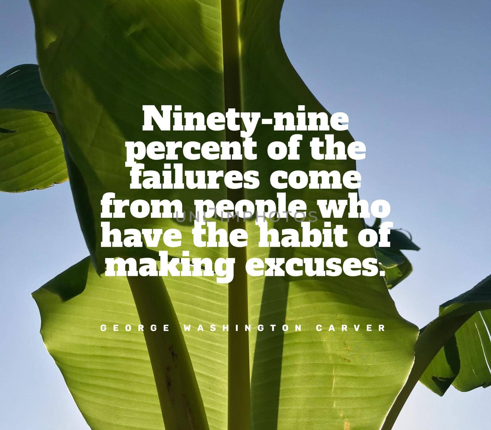 Quote,inspirational text. Ninety-nine percent of the failures come from people who have the habit of making excuses..
