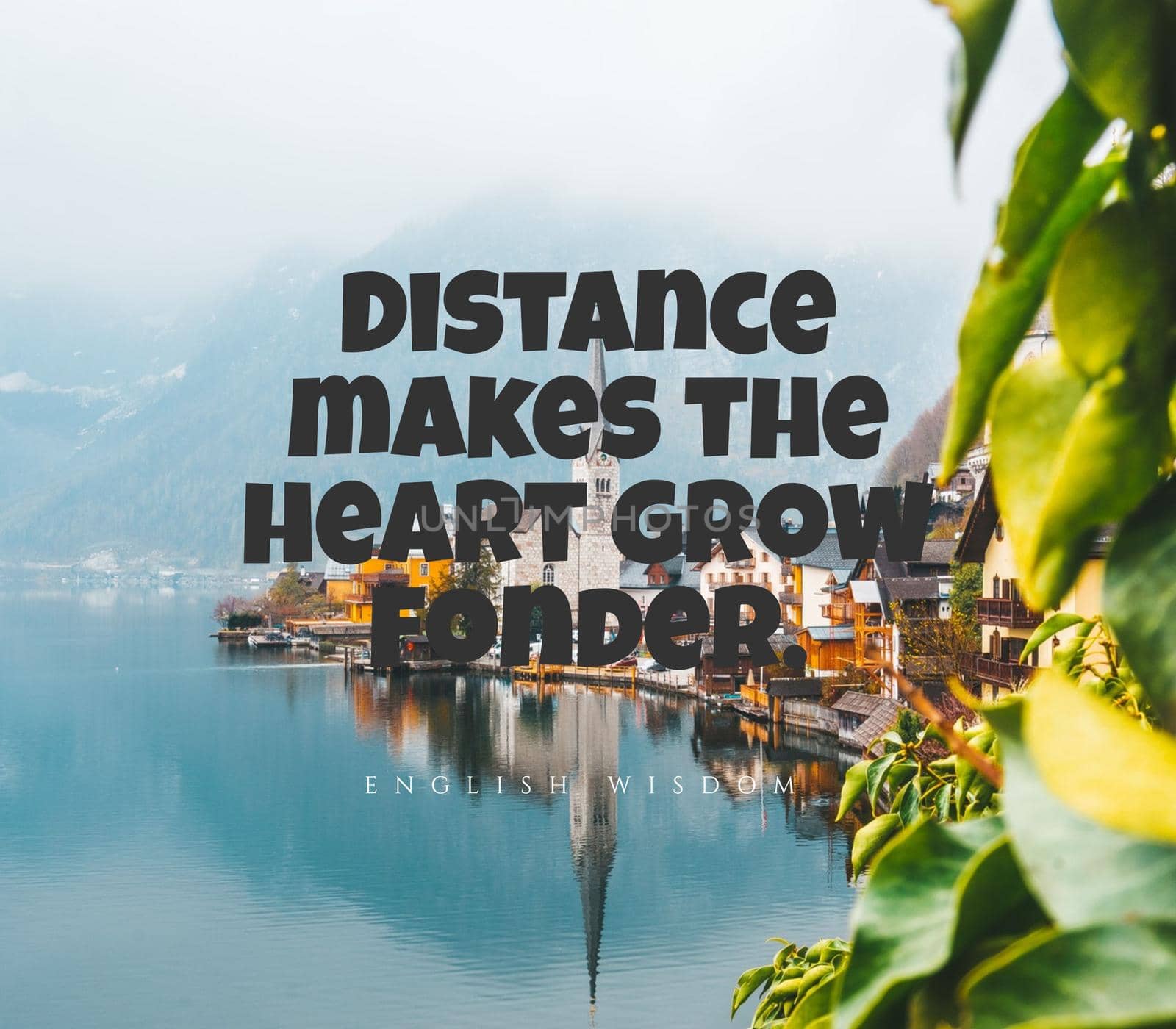Quote, inspirational text. Distance makes the heart grow fonder..