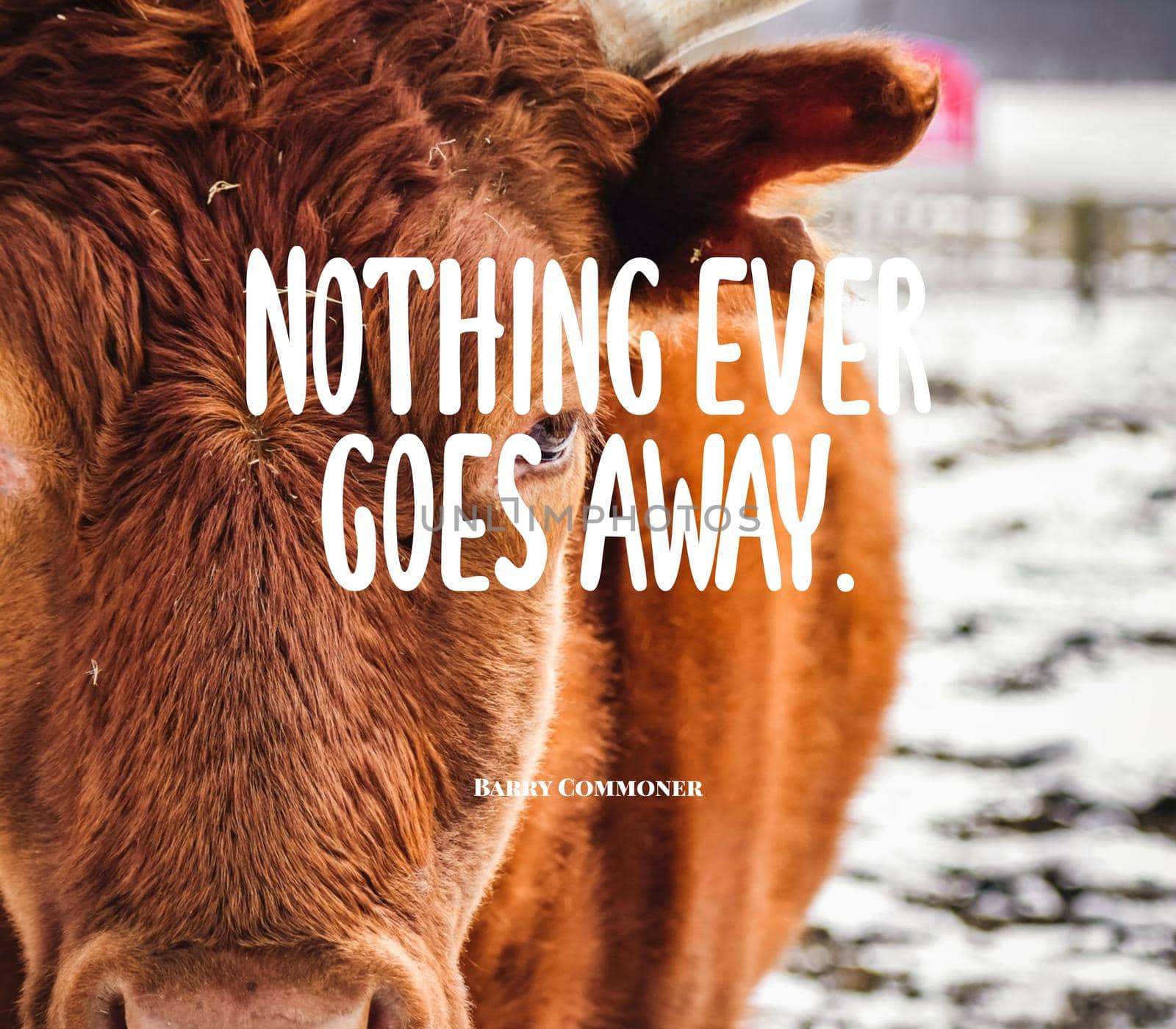 Quote,inspirational text. Nothing ever goes away..