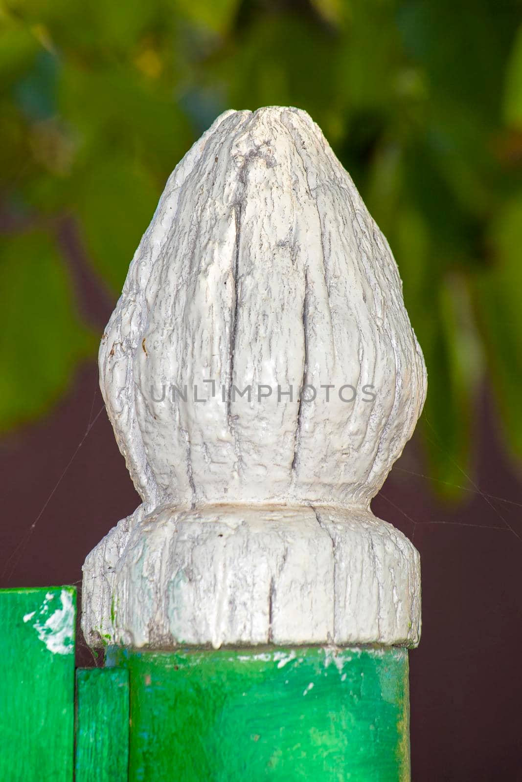 Against the backdrop of green vegetation. View from the front.