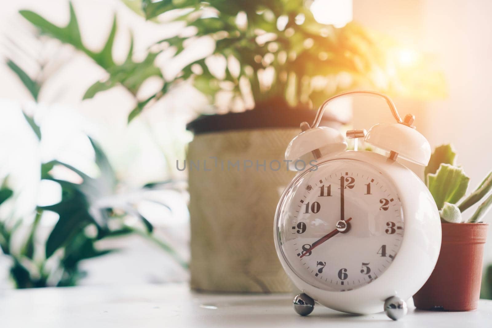 Selective focus of alarm clock show 8 o'clock or 8 a.m. on table with nature bokeh background. Time in life concept.