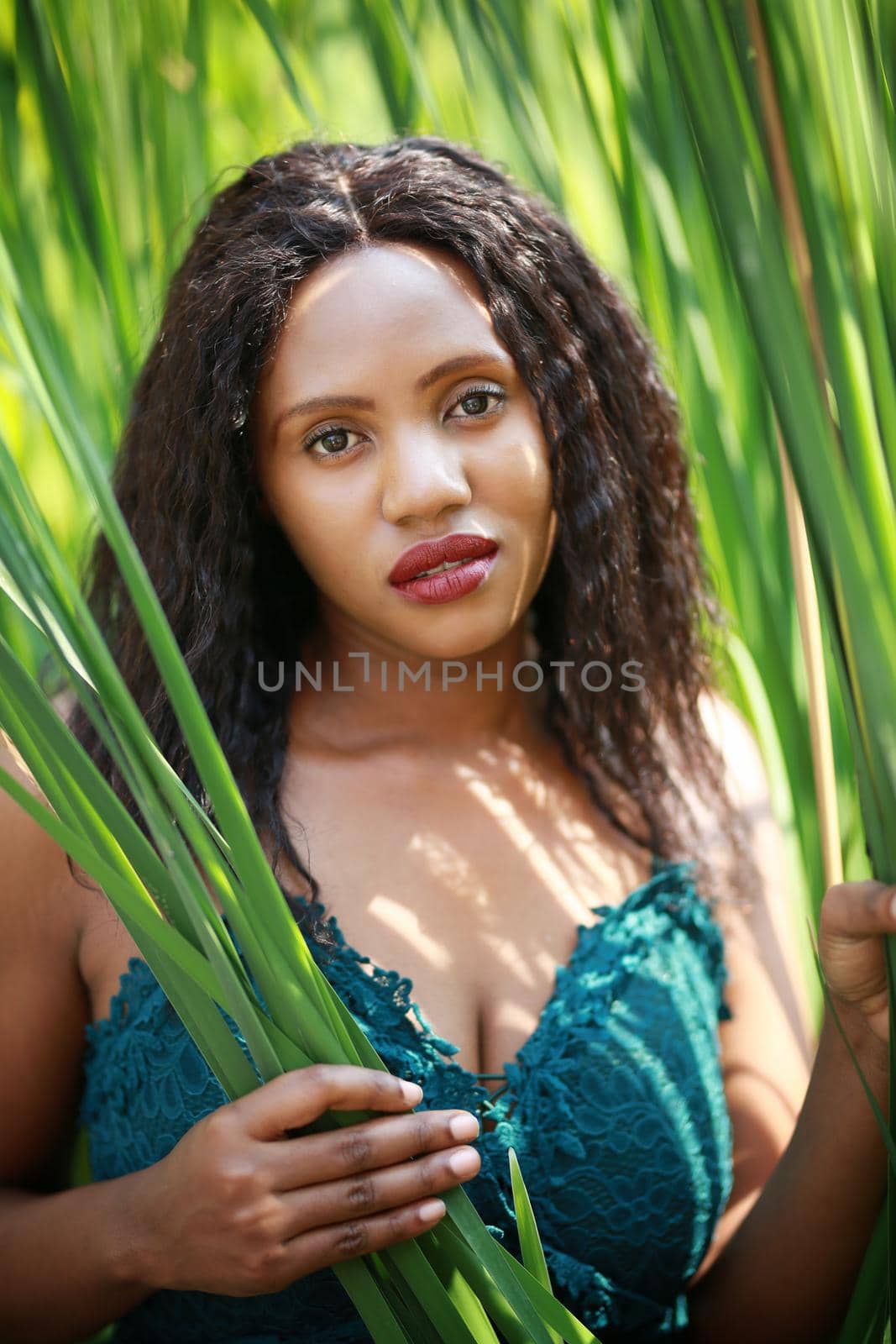 Cheerful young Afro American woman standing in tropical garden. by chuanchai