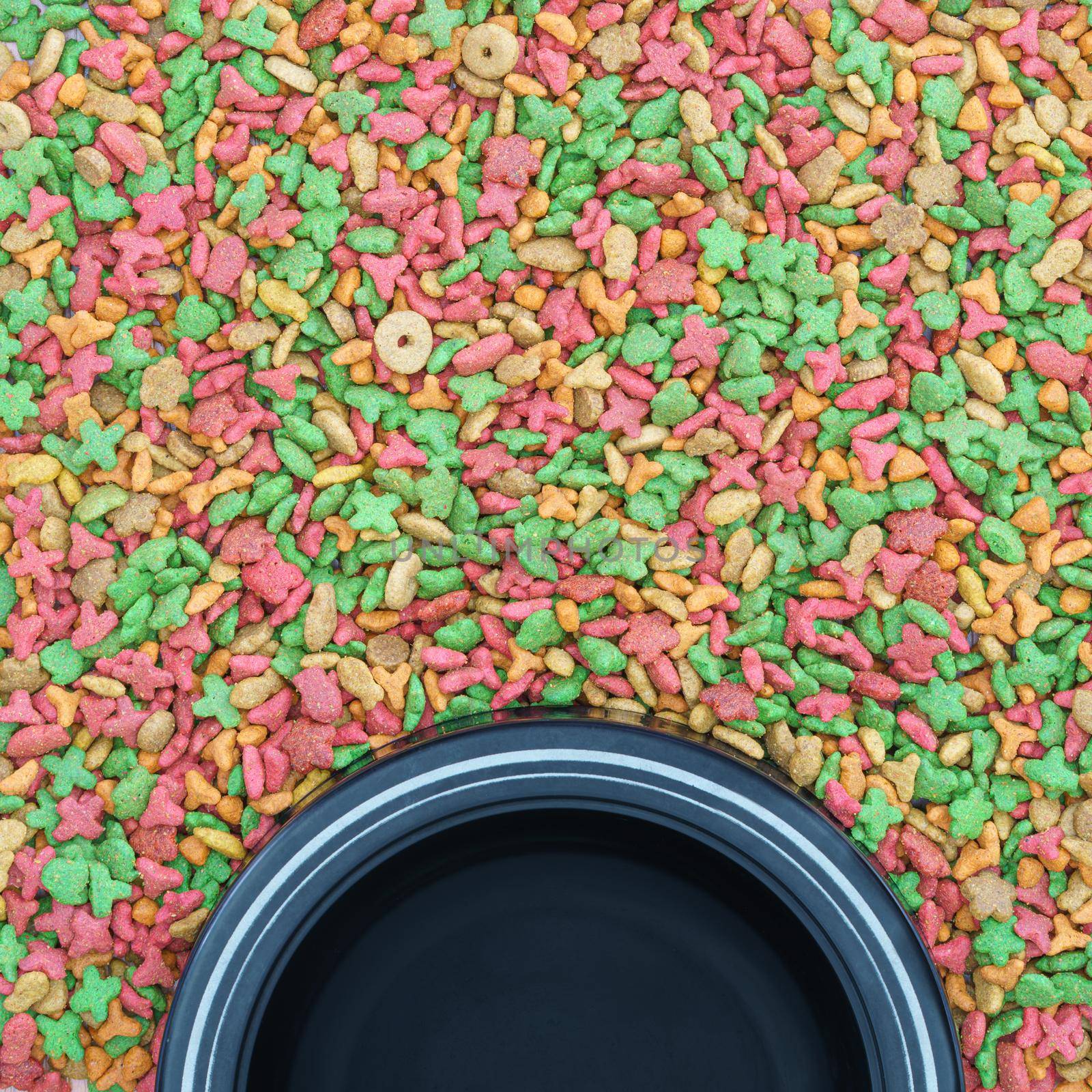 Top view dry food for cat and dog with empty bowl