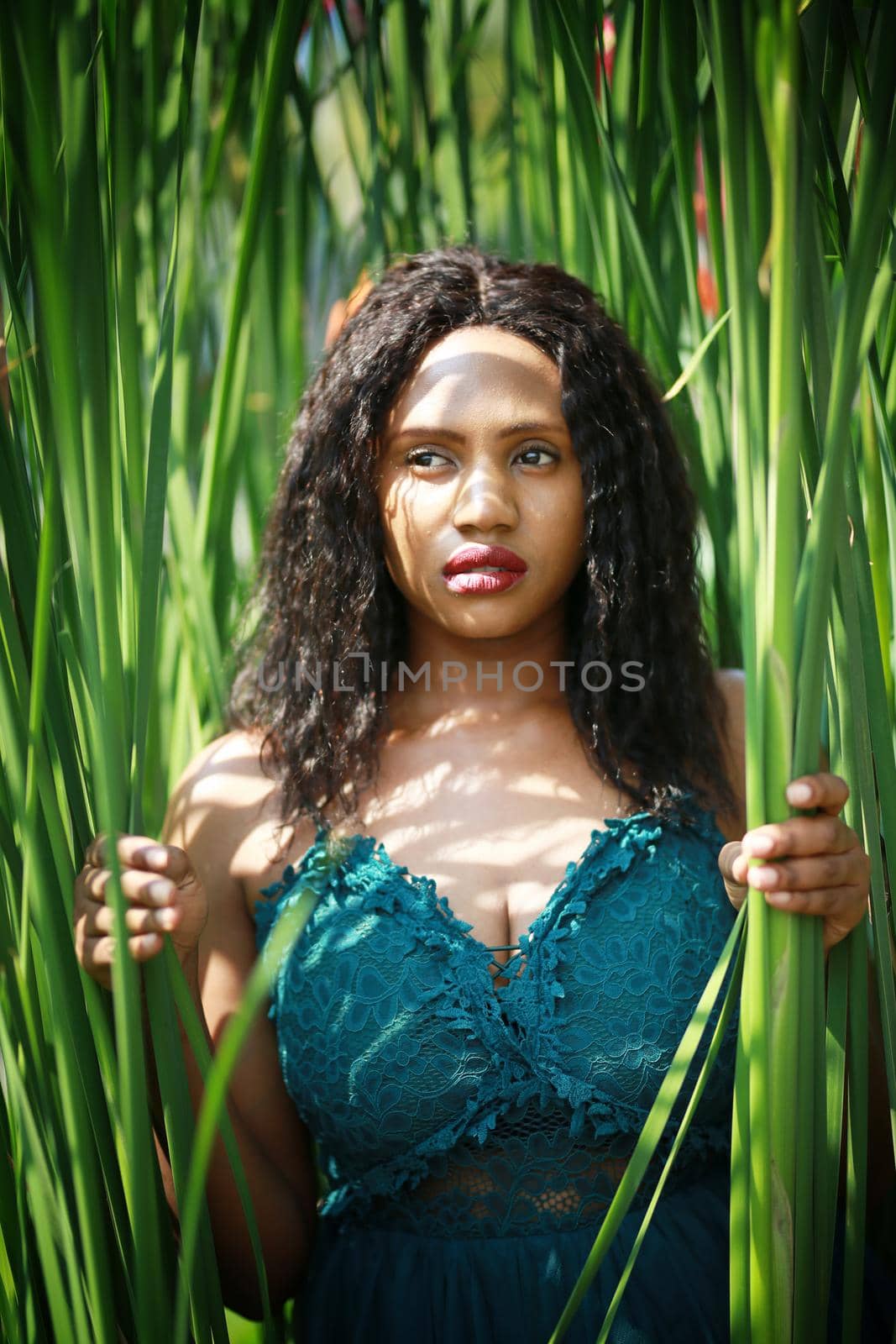 Cheerful young Afro American woman standing in tropical garden. by chuanchai