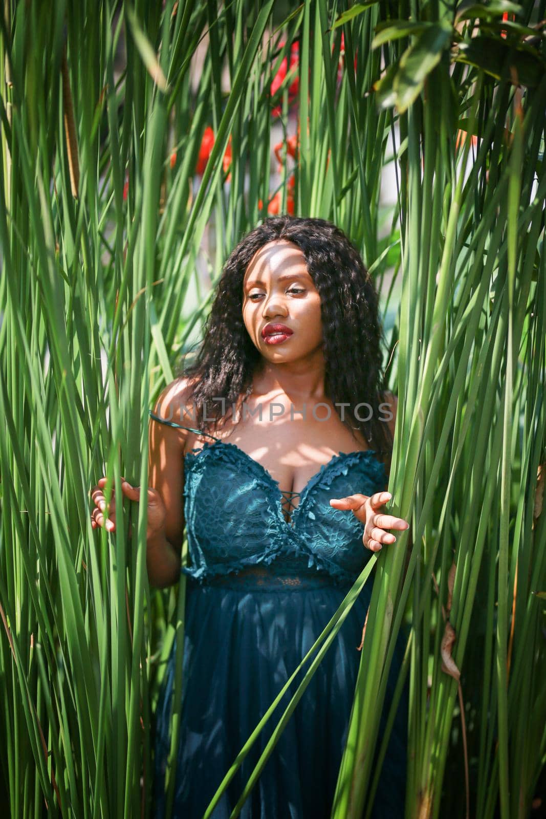 Cheerful young woman standing among tropical leaf.