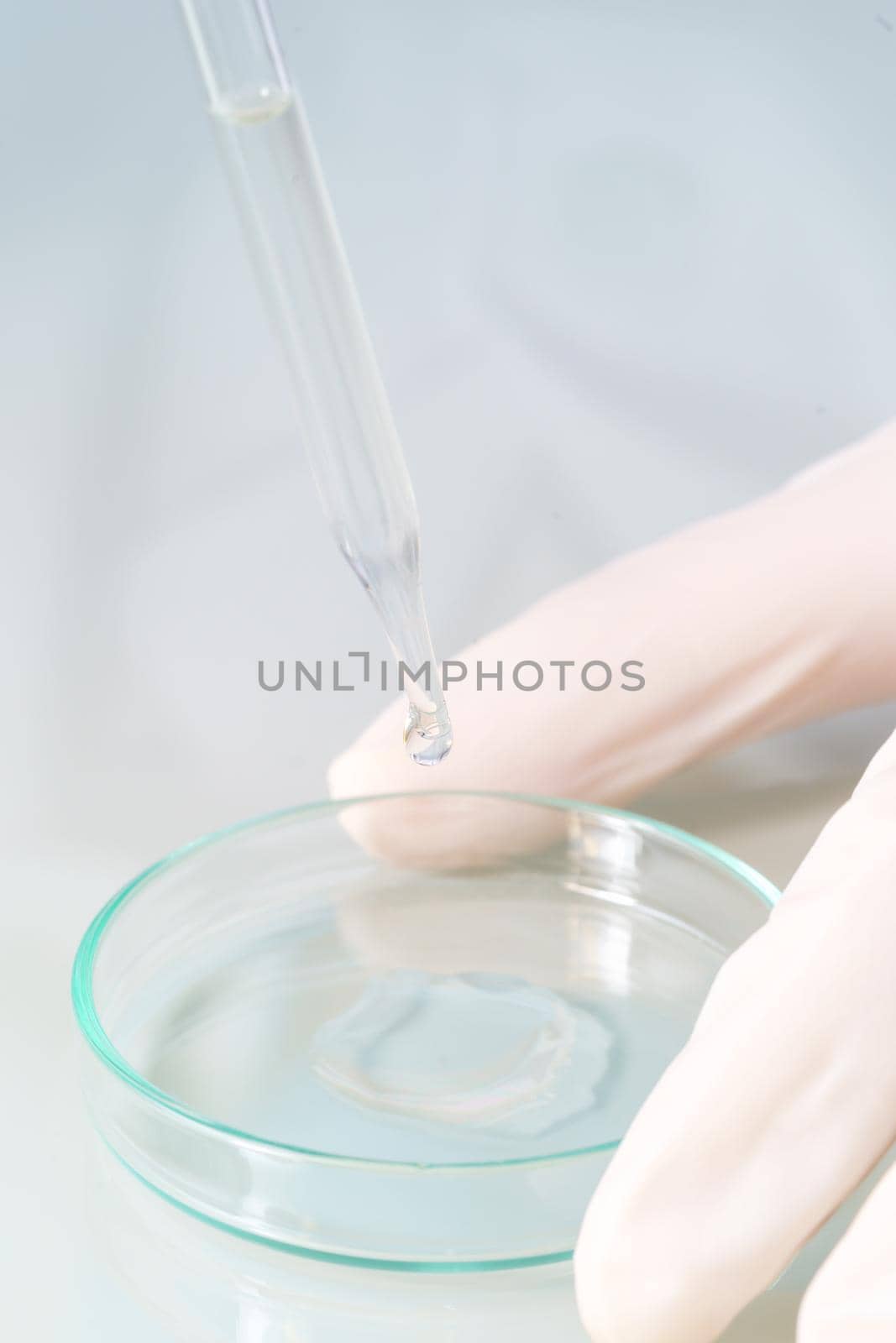 Technician scientist analyzing a blood sample on tray in laboratory for testing it on COVID, COVID-19, coronavirus virus analysis