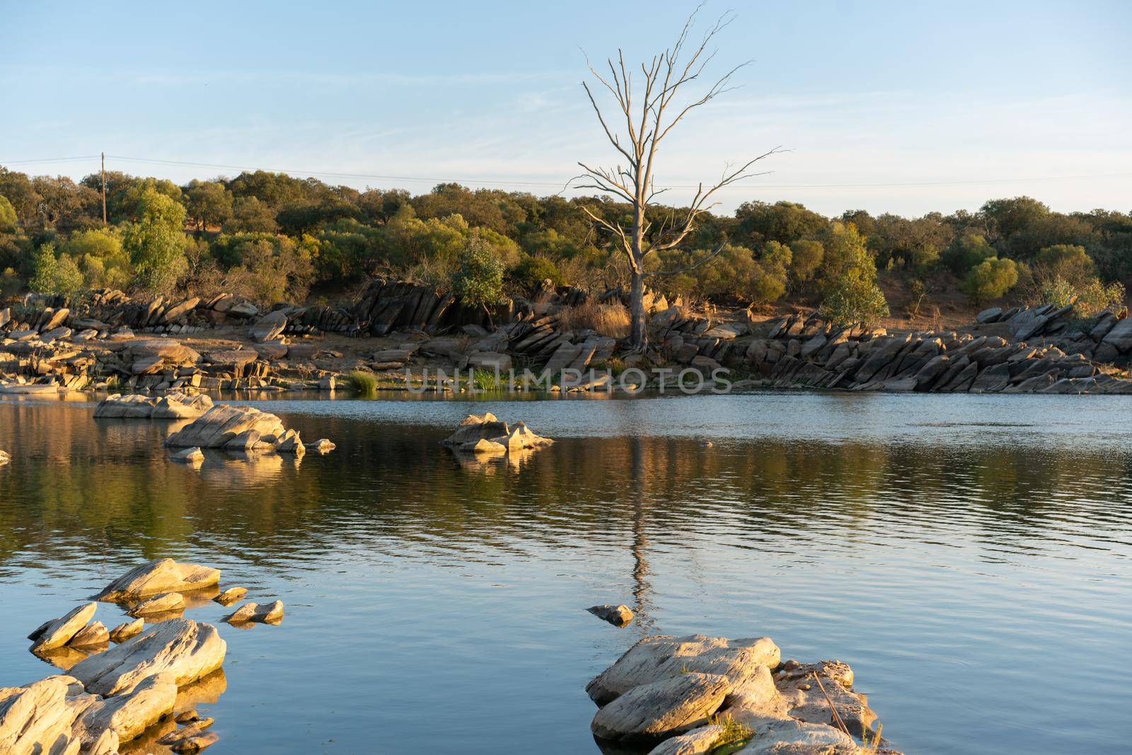 Beautiful tree with rocks on the Guadiana river on a summer day in Alentejo in the border between Portugal and Spain by Luispinaphotography