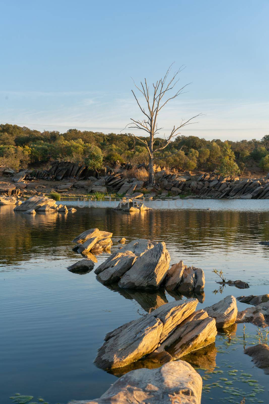 Beautiful tree with rocks on the Guadiana river on a summer day in Alentejo in the border between Portugal and Spain by Luispinaphotography