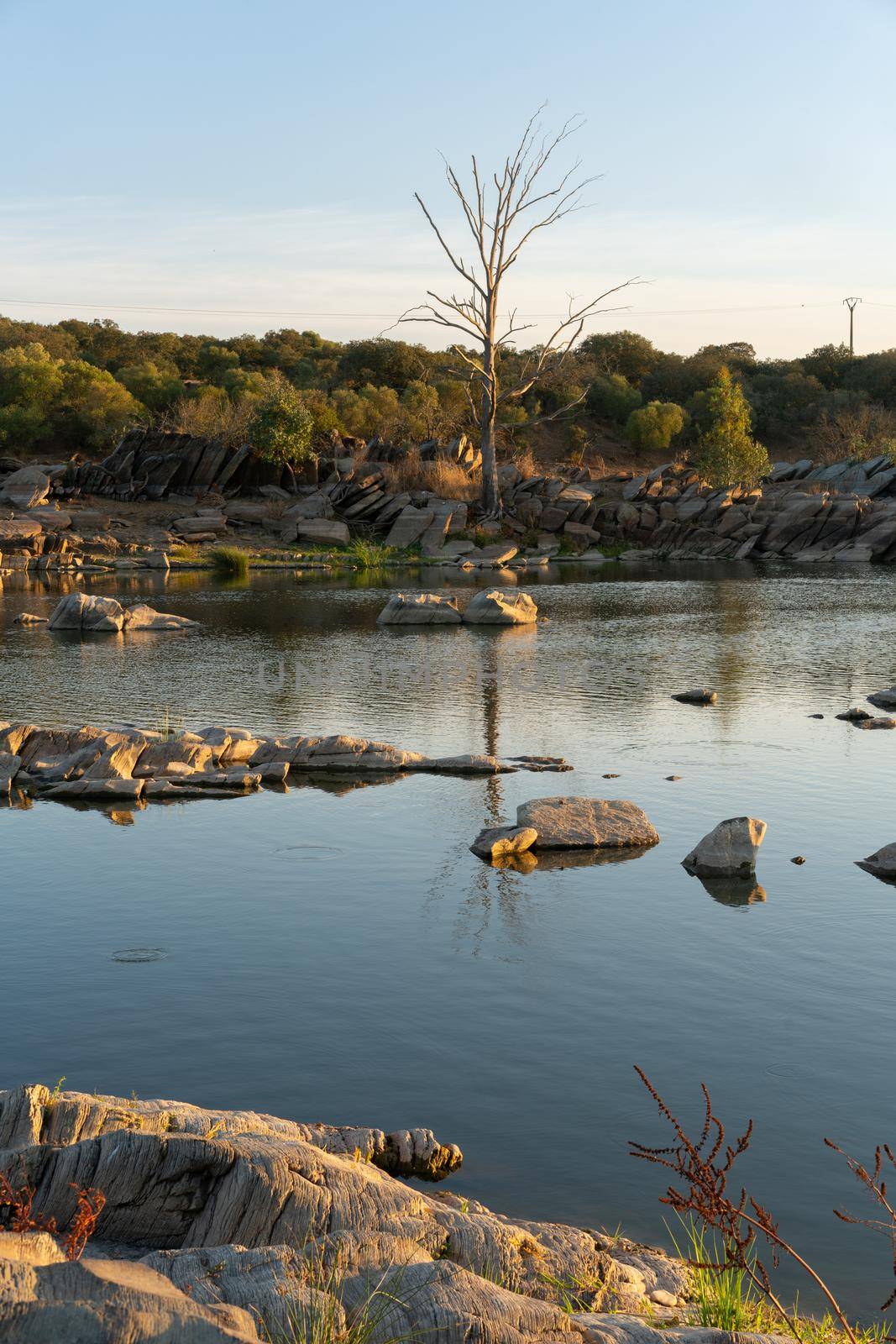 Beautiful tree with rocks on the Guadiana river on a summer day in Alentejo in the border between Portugal and Spain