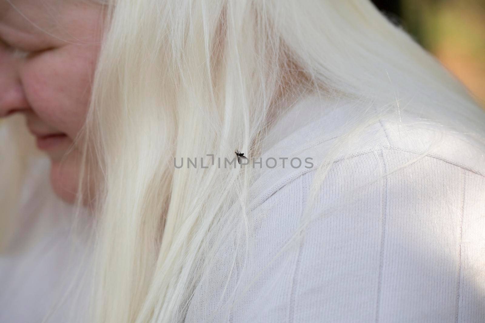 Woman with a black flying bug in her white hair