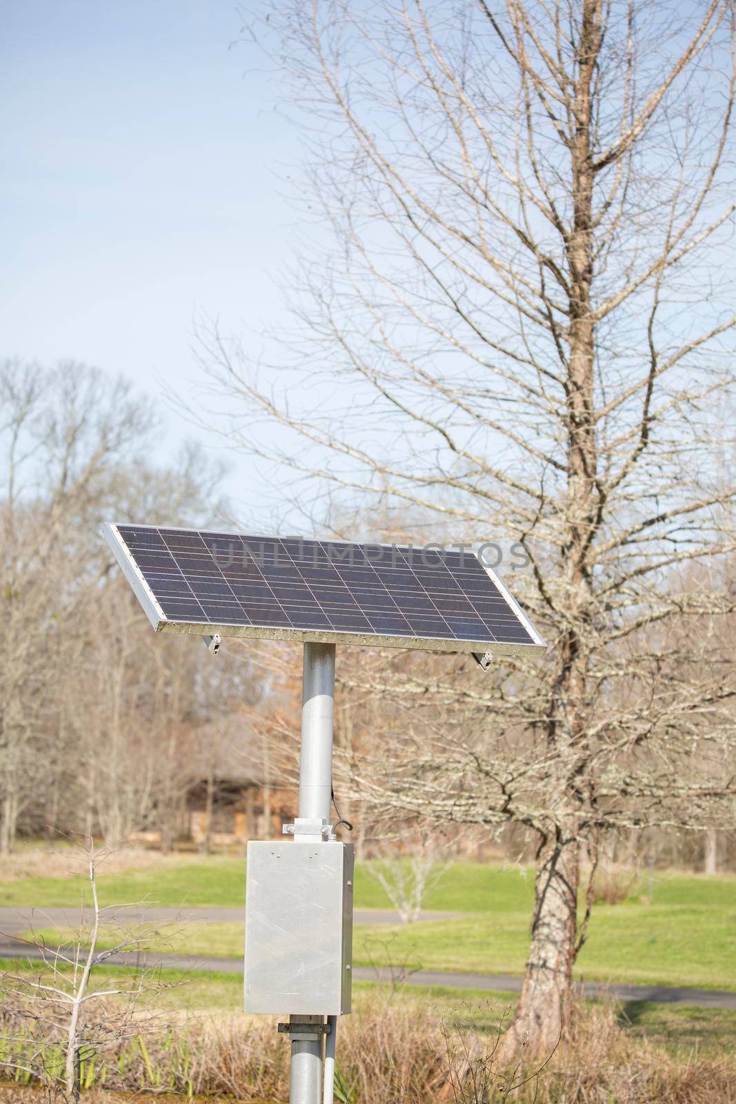 Solar panel energy source in a clearing outdoors