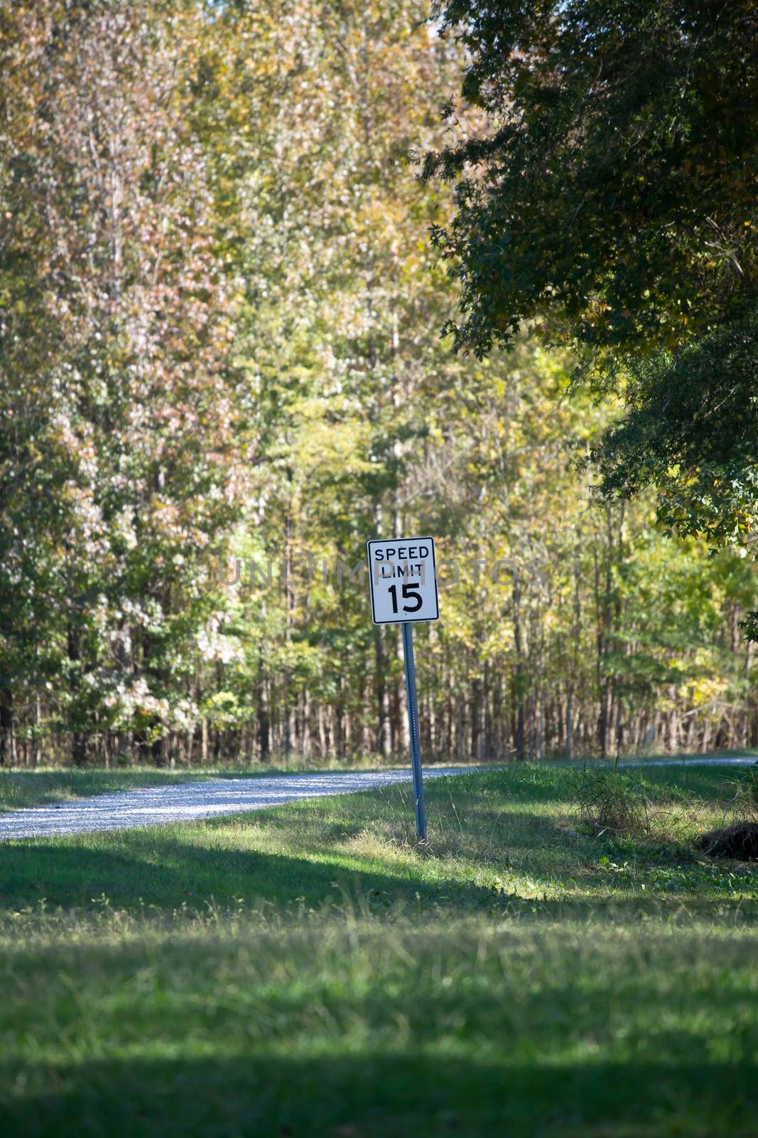 Fifteen mile per hour speed limit sign on a rural gravel road