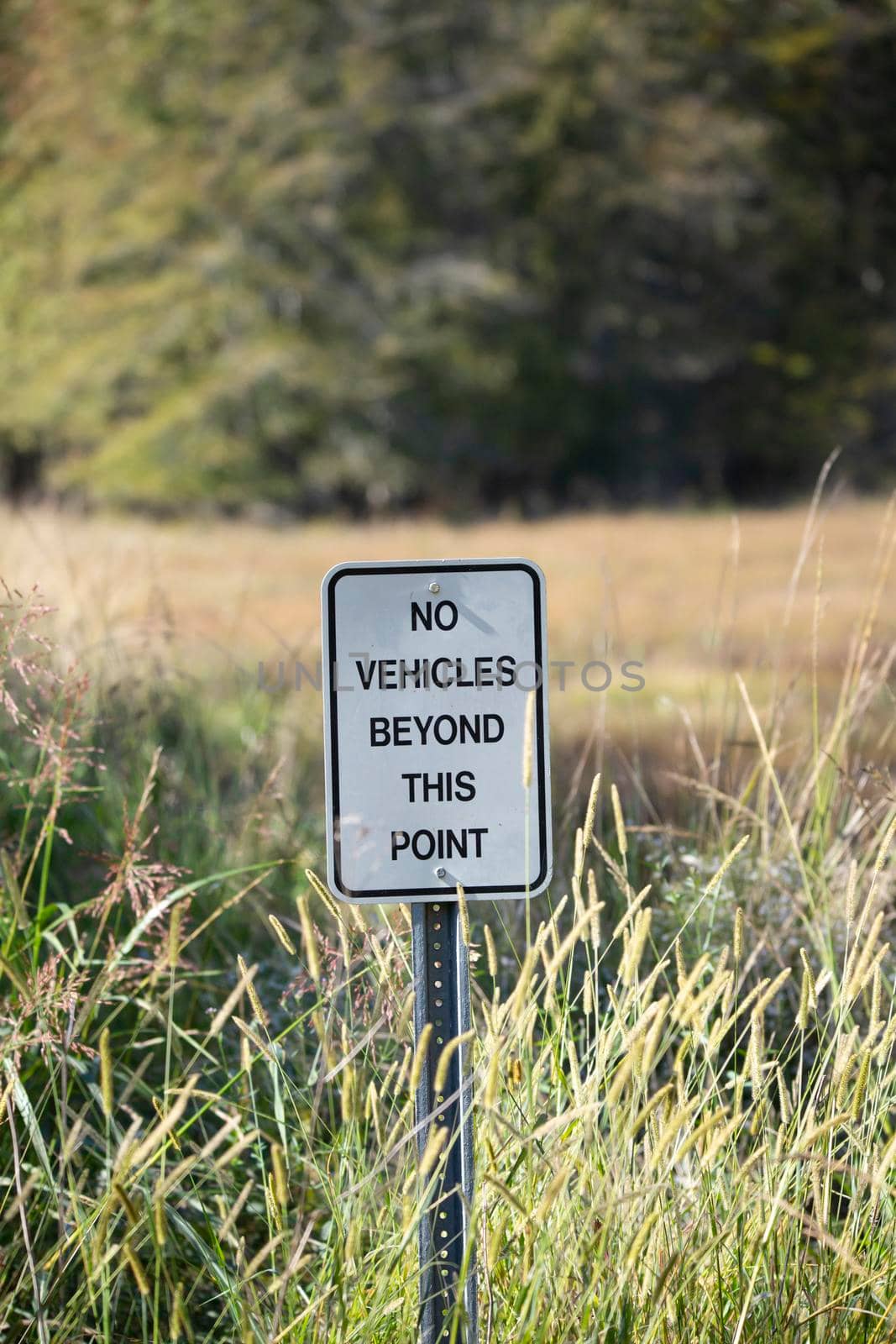 No Vehicles beyond This Point sign in nature