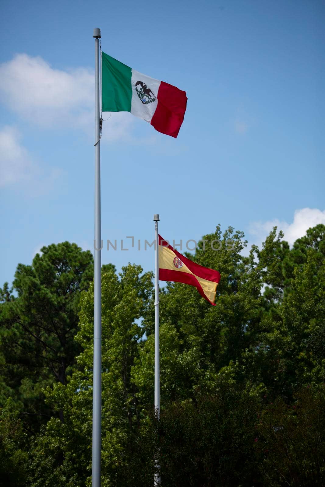 Green, white, red flag of Mexico, popping in the wind