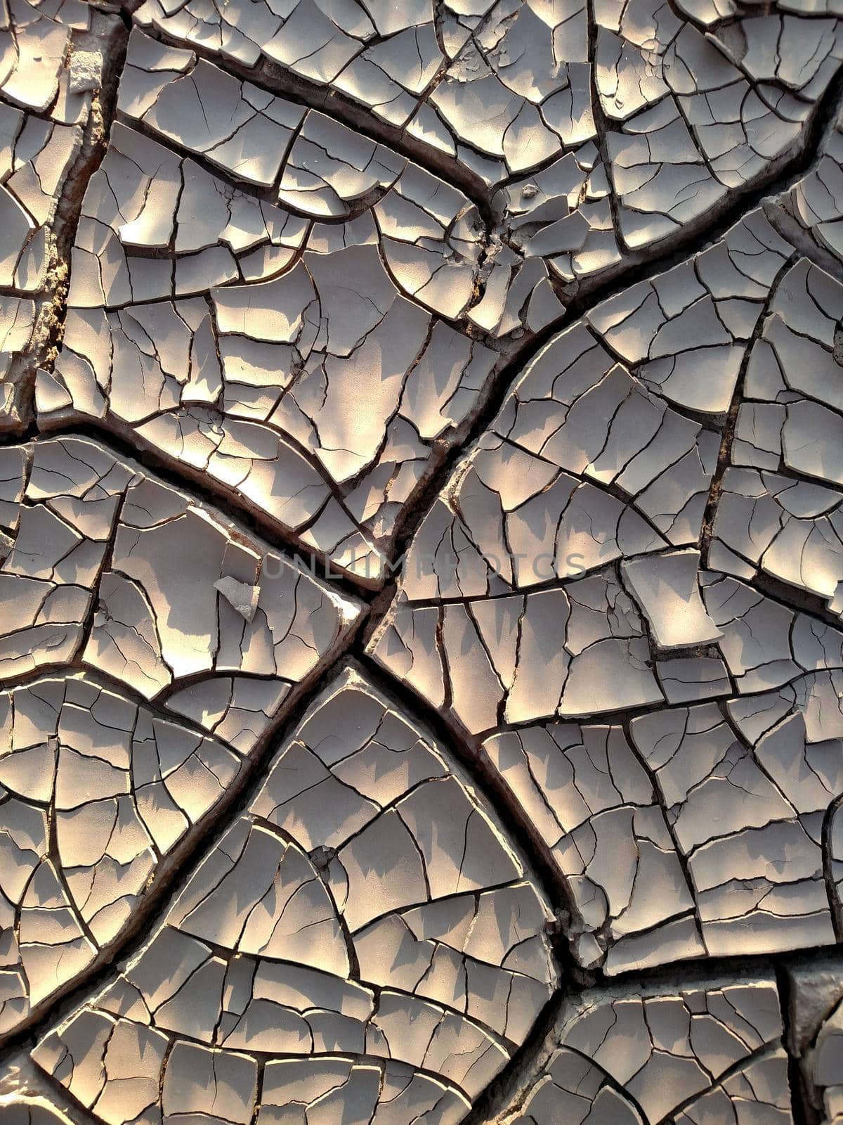 Image of cracked clay. Texture for background. Natural background for your design.