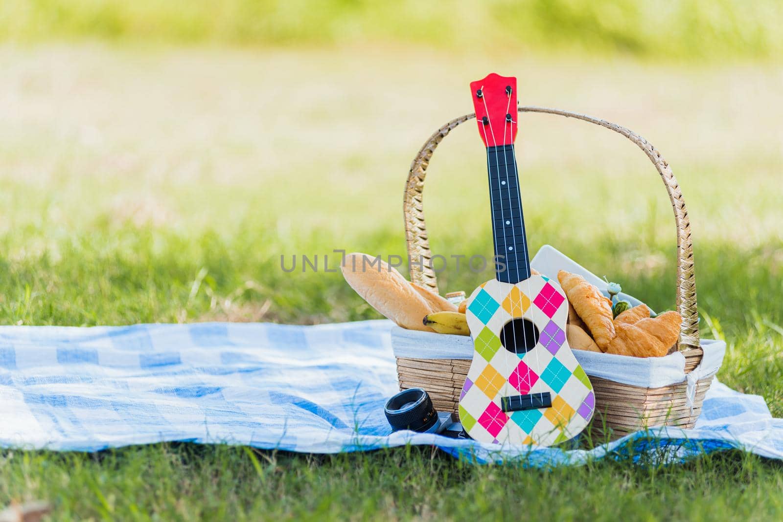 Picnic wattled basket with bread food and fruit, Ukulele, a retro camera on blue cloth in green grass garden with copy space at sunny summertime