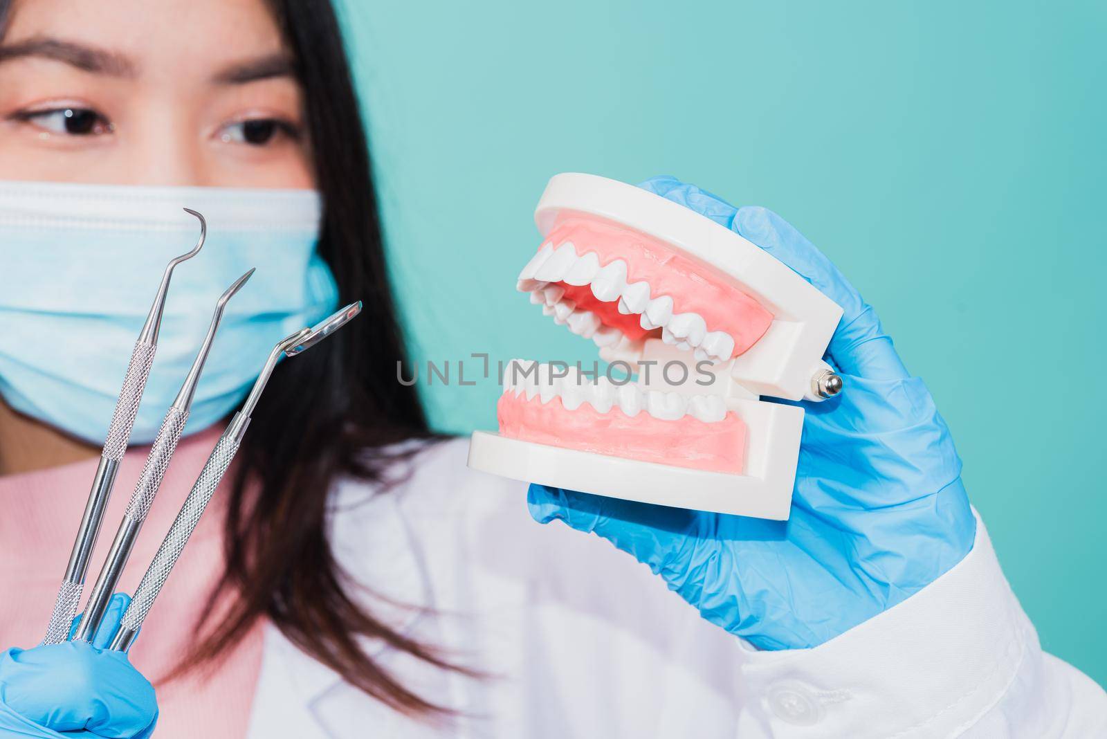 woman dentist holding professional tool and model teeth denture by Sorapop