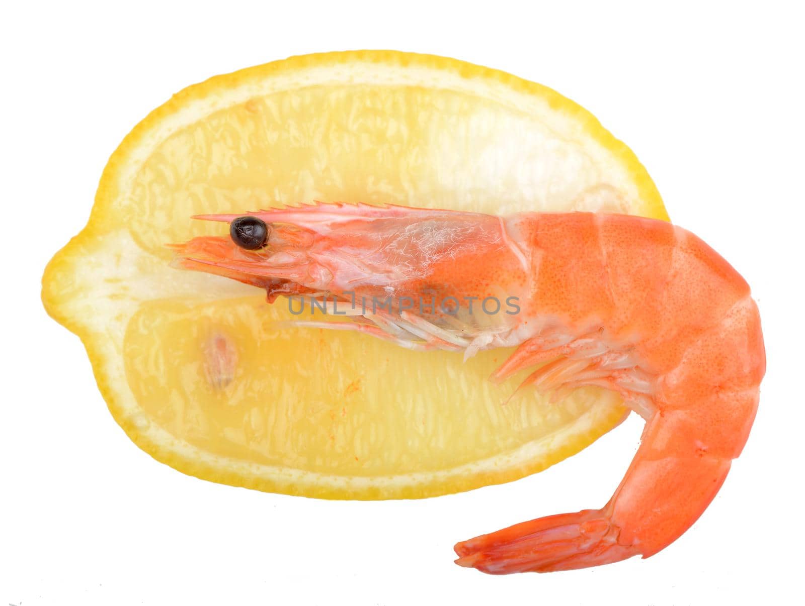Close up of fresh boiled tiger shrimp and a lemon by aprilphoto