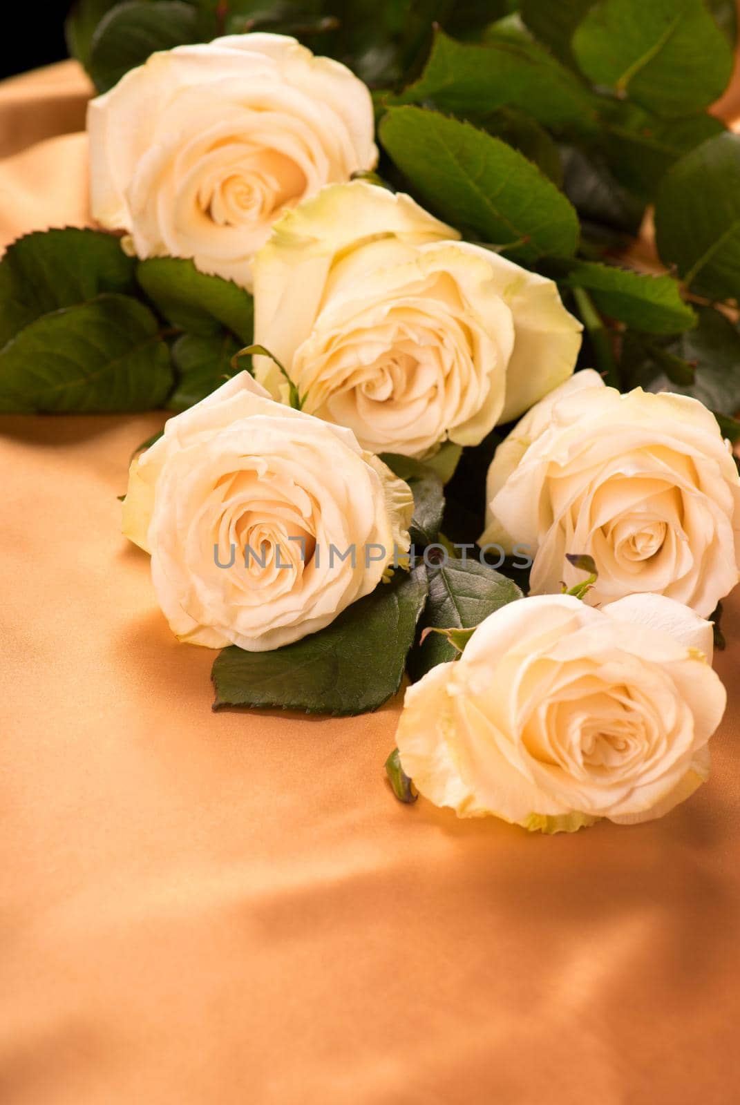 white roses on golden silk background