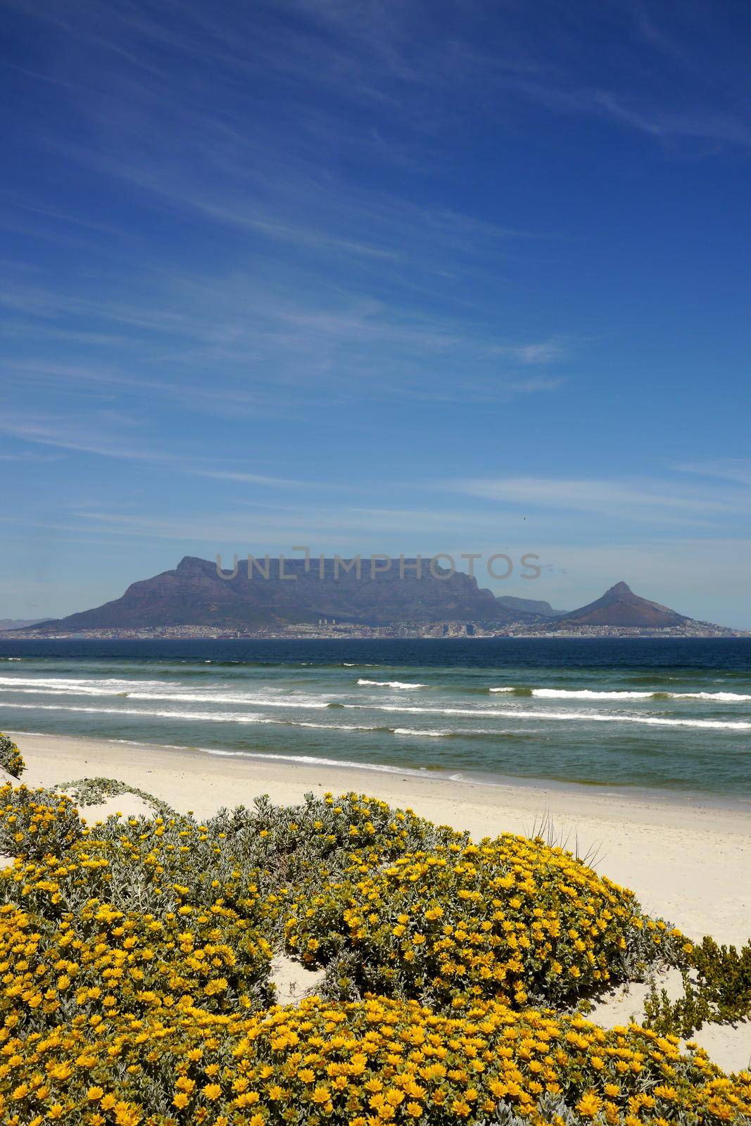 View of Table Mountain, Cape Town, South Africa by fivepointsix
