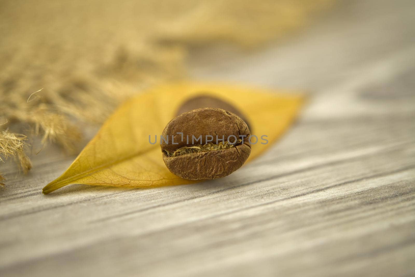 Macro photo of roasted coffee beans and yellow leaf on wooden background