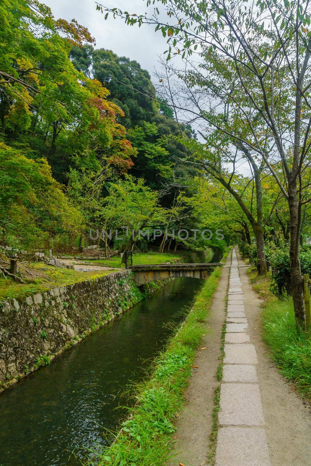 View of the Philosophers Path (Tetsugaku no michi), in Kyoto, Japan