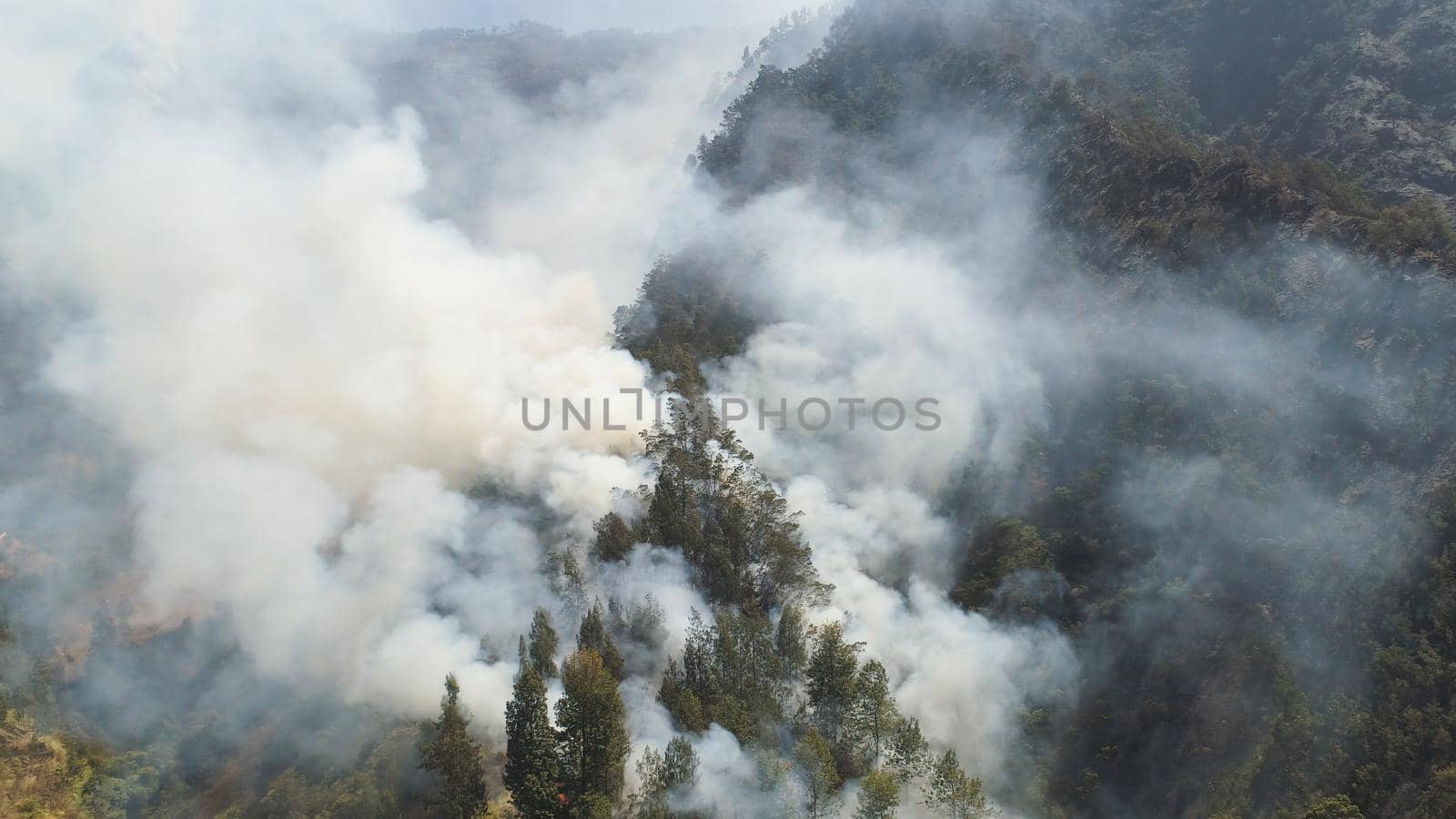 fire in mountain forest. aerial view forest fire and smoke on slopes hills. wild fire in mountains in tropical forest, Java Indonesia. natural disaster fire in Southeast Asia