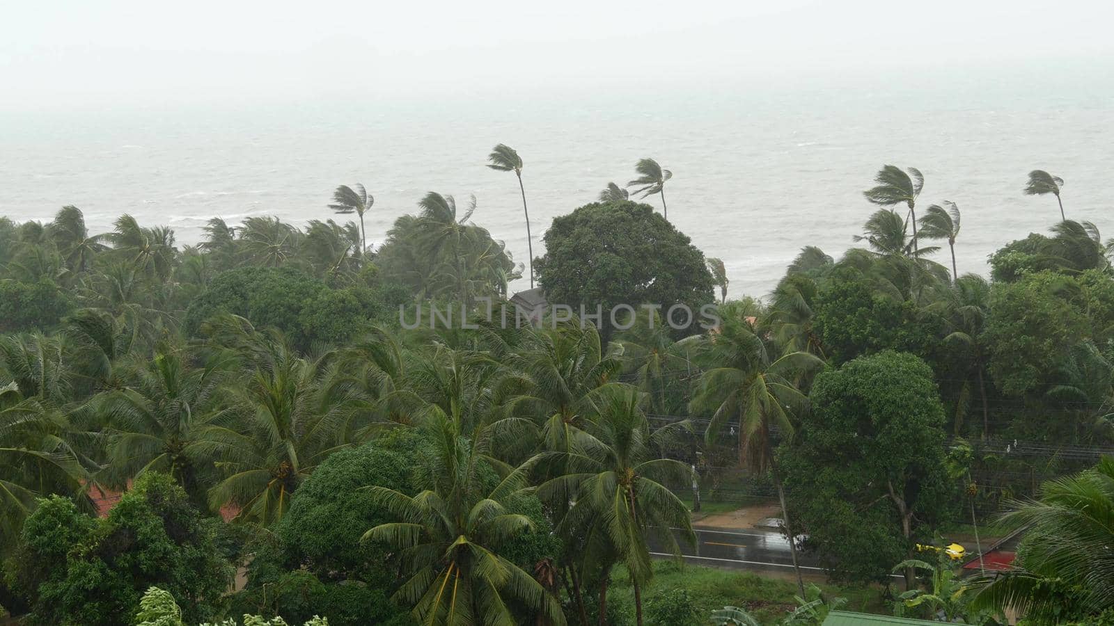 Pabuk typhoon, ocean sea shore in Thailand. Natural disaster, eyewall hurricane. Strong extreme cyclone wind sways palm trees. Tropical flooding rain season, heavy tropical storm weather, thunderstorm