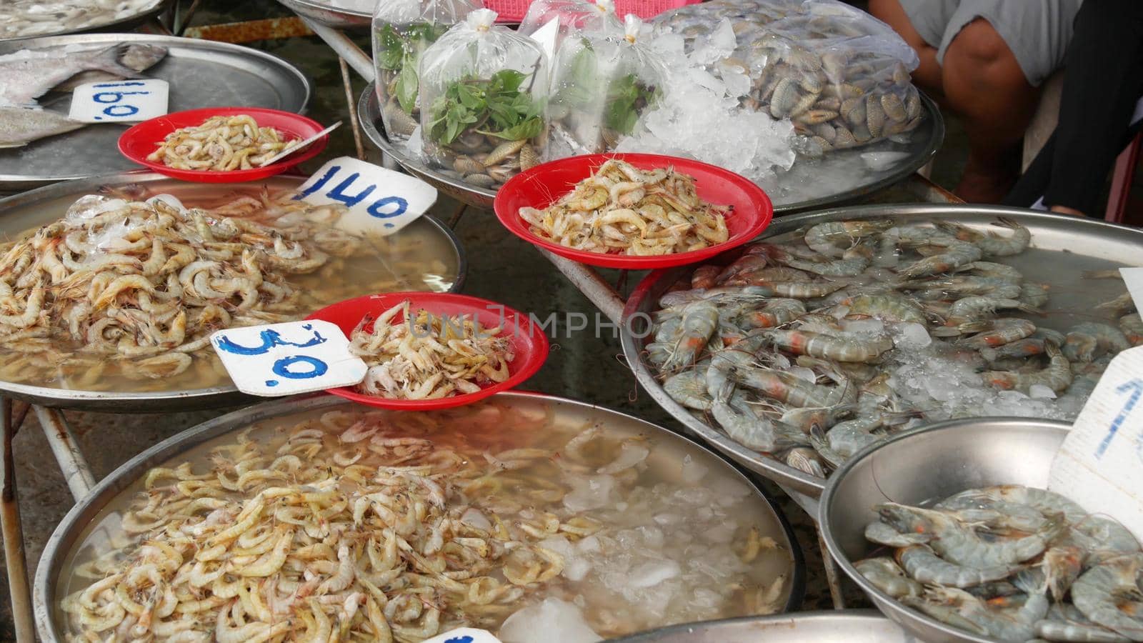 Marine products on sale in local market. From above fresh fragrant seafood in ice with price on shelves on market. Crabs squids shrimps and raw lobsters in basins with water and price tags