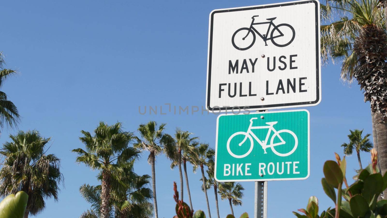 Bike Route green road sign in California, USA. Bicycle lane singpost. Bikeway in Oceanside pacific tourist resort. Cycleway signboard and palm. Healthy lifestyle, recreation and safety cycling symbol.