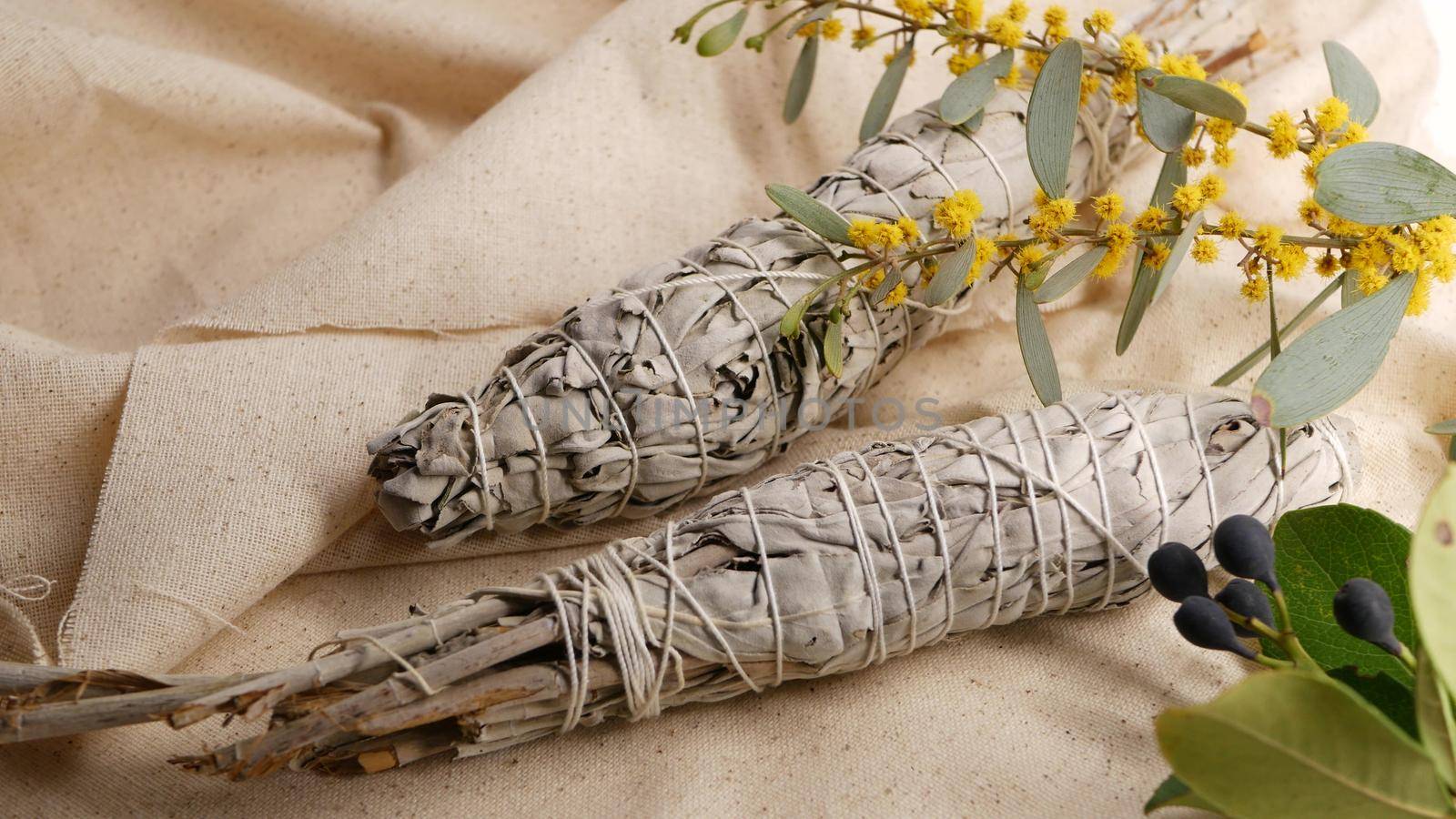 Dried white sage smudge stick, relaxation and aromatherapy. Smudging during psychic occult ceremony, herbal healing, yoga or aura cleaning. Essential incense for esoteric rituals and fortune telling by DogoraSun