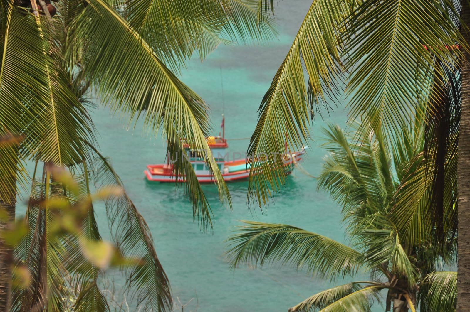 View of sailing fisherman boat in turquoise water of seashore among lush green palms. Green palm trees with boat in blue water. Tropical padadise island life