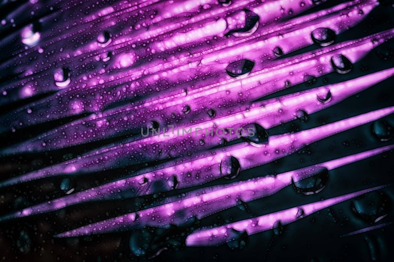 A purple abstract macro background with a gradient pattern by silent303
