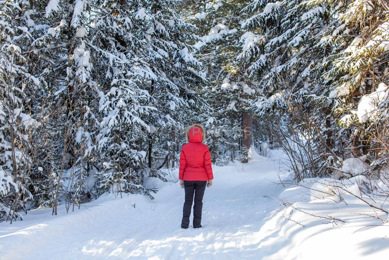 A girl in a red jacket walks through a snow-covered forest on a winter day. Rear view. A man on the background of a beautiful winter nature